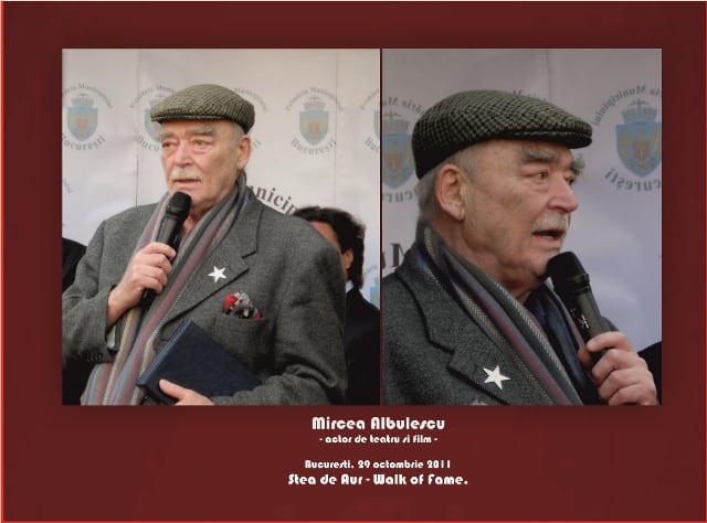 mircea albulescu 2