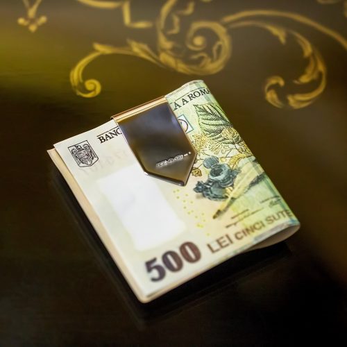 Clips pentru bani din argint AR.0001