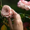 Inel aur galben 14 kt, model IPI 059